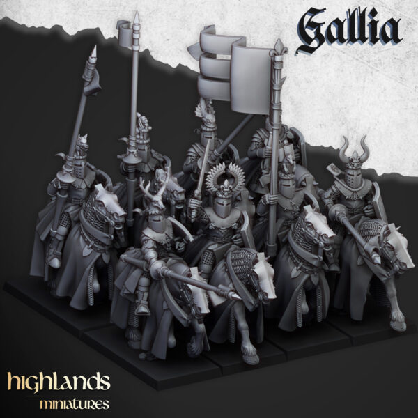 KNIGHTS_OF_GALLIA_UNIT1.jpg