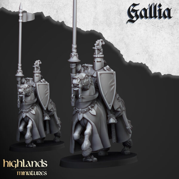 KNIGHT_OF_GALLIA_1.jpg