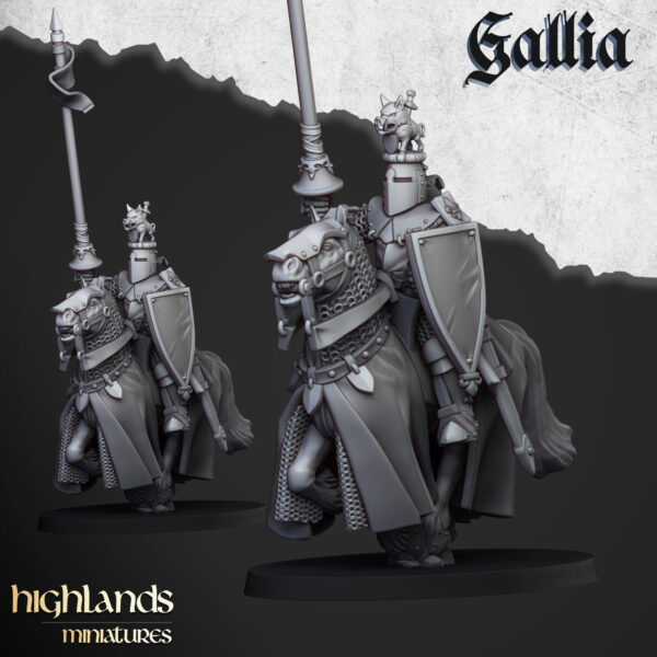 KNIGHT_OF_GALLIA_4.jpg