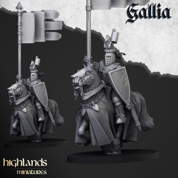 KNIGHT_OF_GALLIA_BANNERMAN.jpg