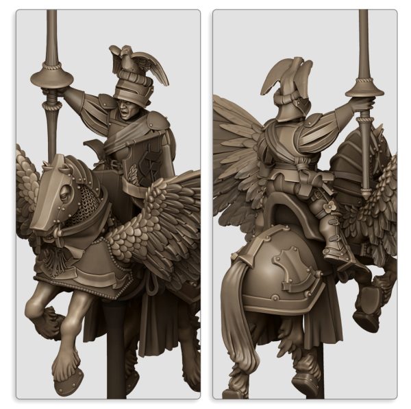 SUNLAND_GENERAL_ON_PEGASUS_3